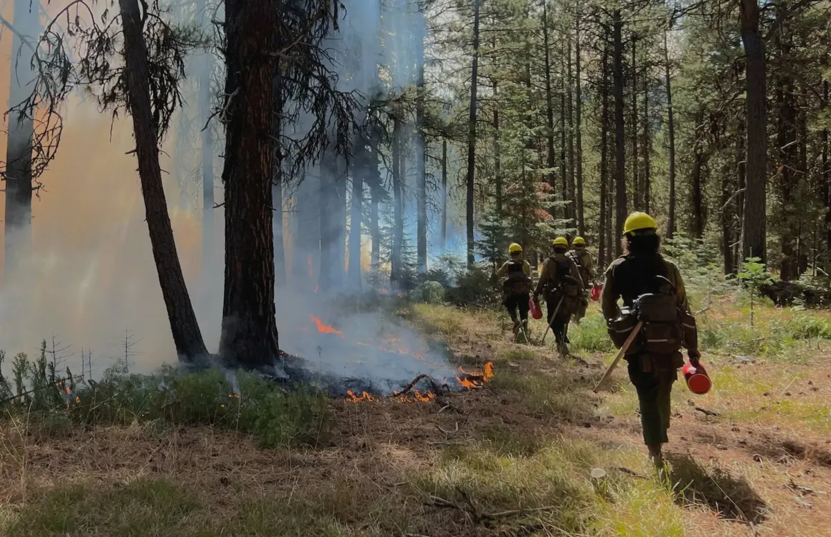 Fire crew