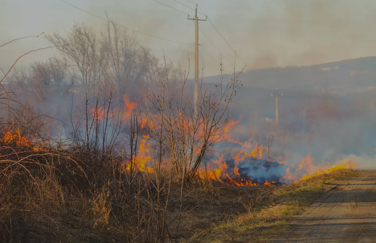 Brush Fire