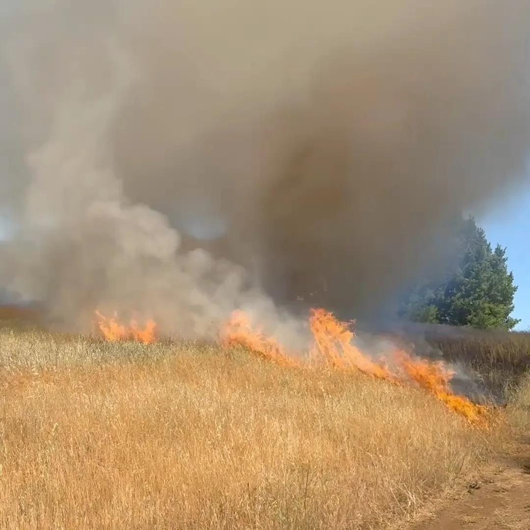 Dispensing on spot fire